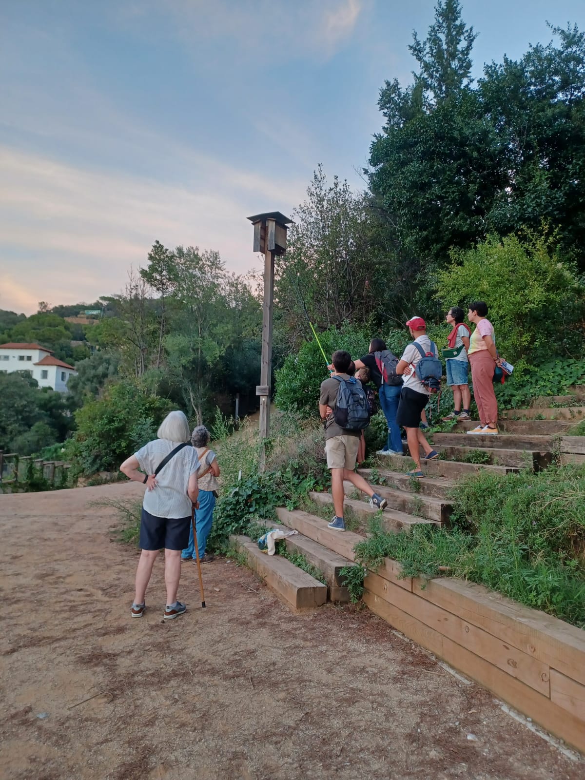 Revisió de l'hotel de ratpenats de l'Aula Ambiental Bosc Turull amb una càmera, tardor de 2025.