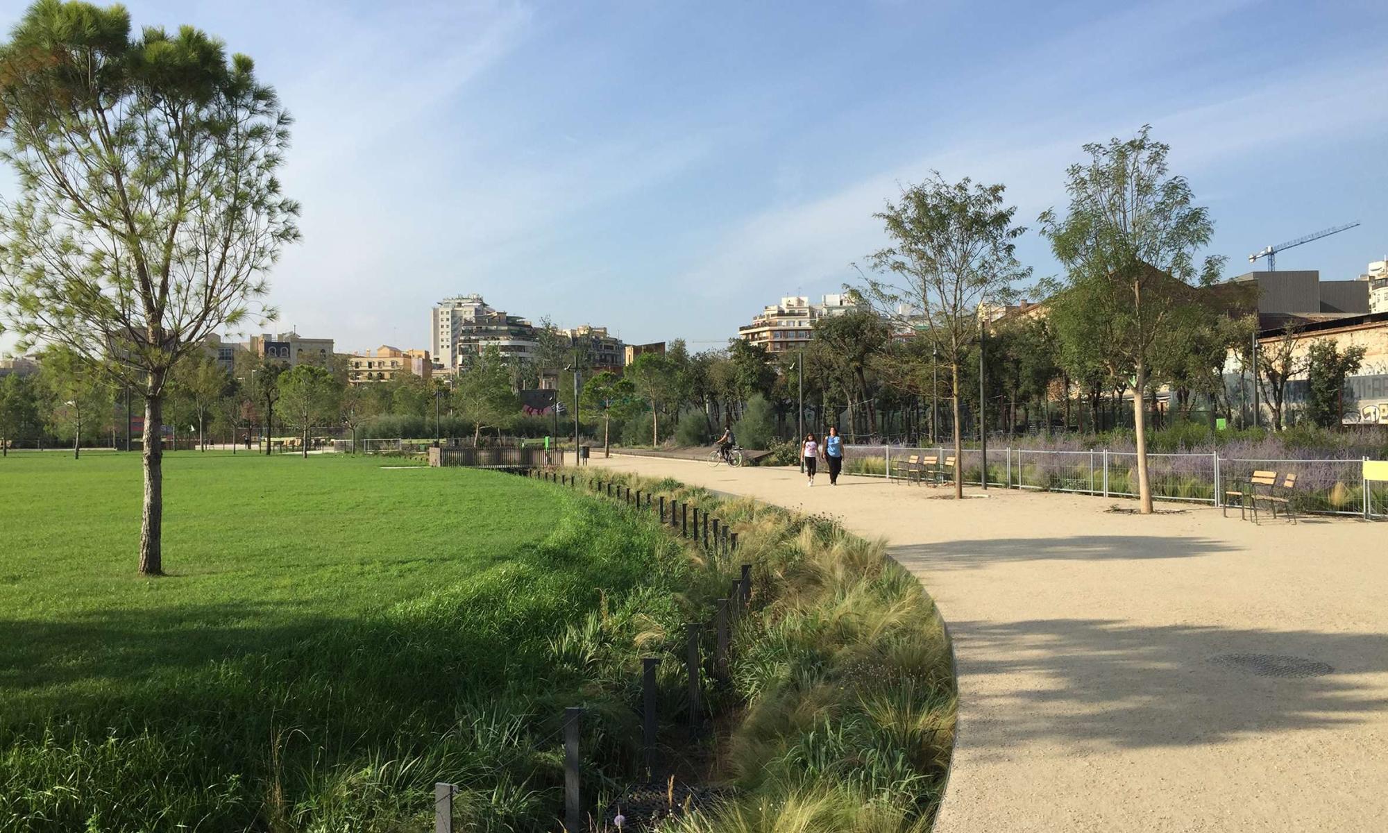 Imatge de la canòpia urbana de la Plaça de les Glòries Catalanes, Barcelona.