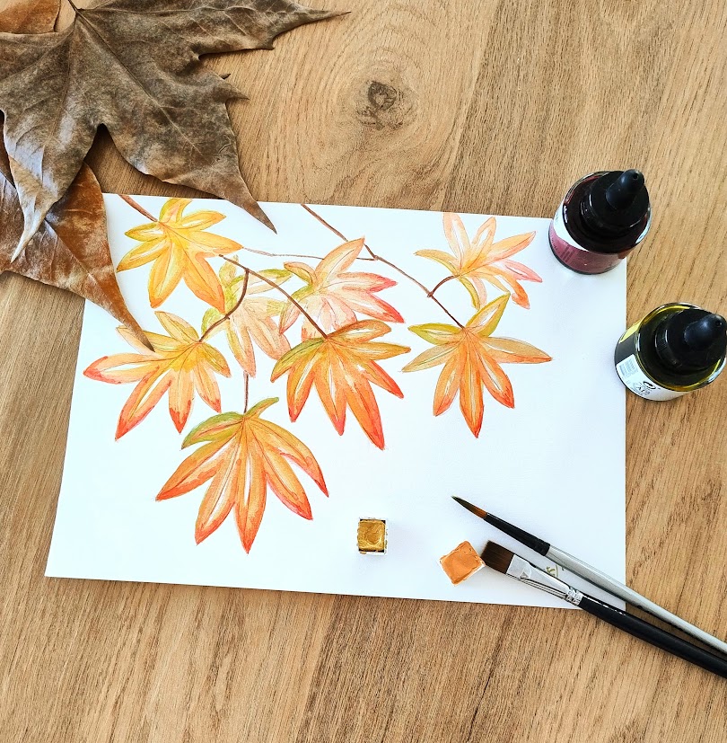 Aquarel·la i il·lustració botànica de tardor