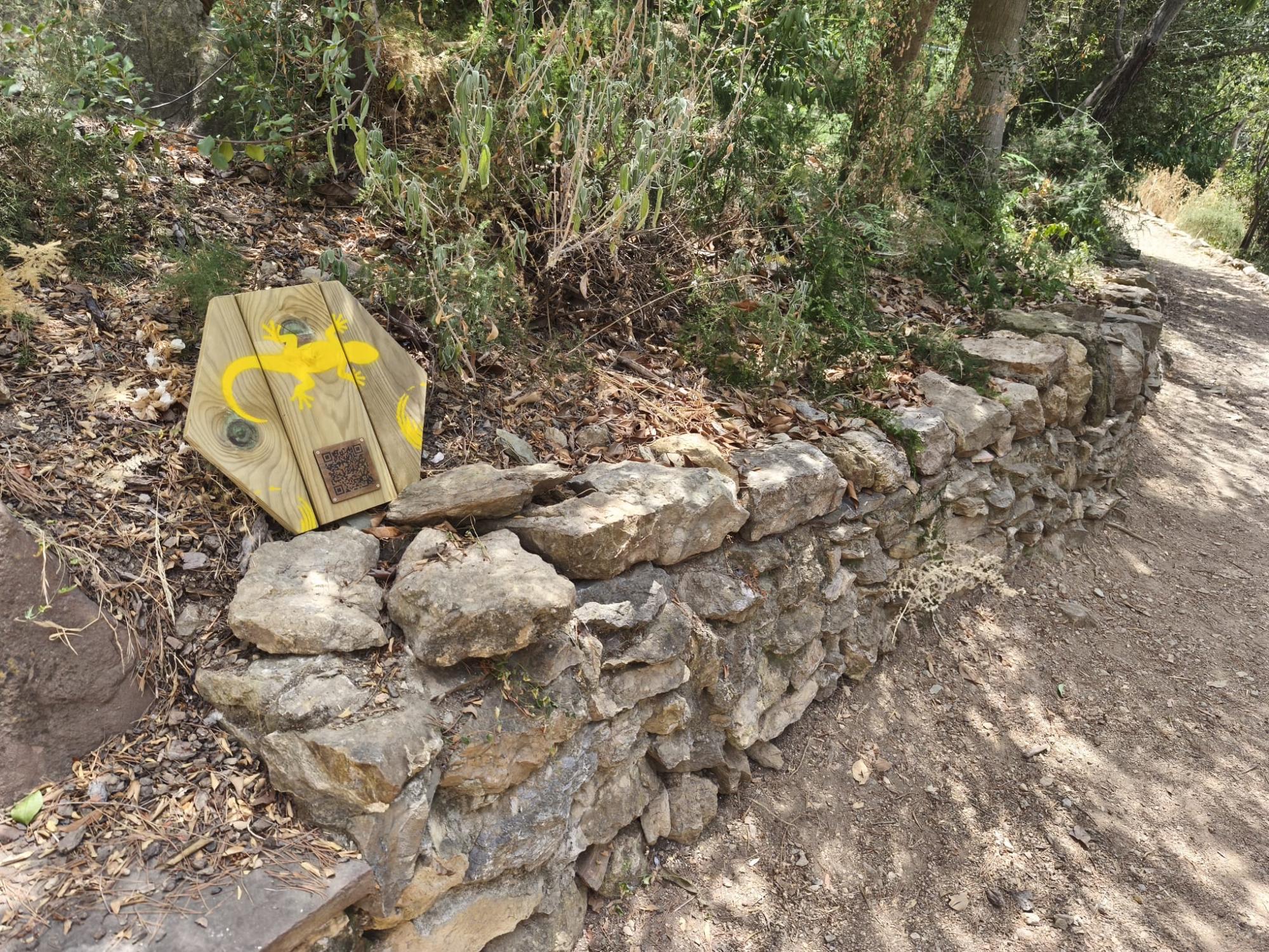 Fem visible l’invisible: portes obertes