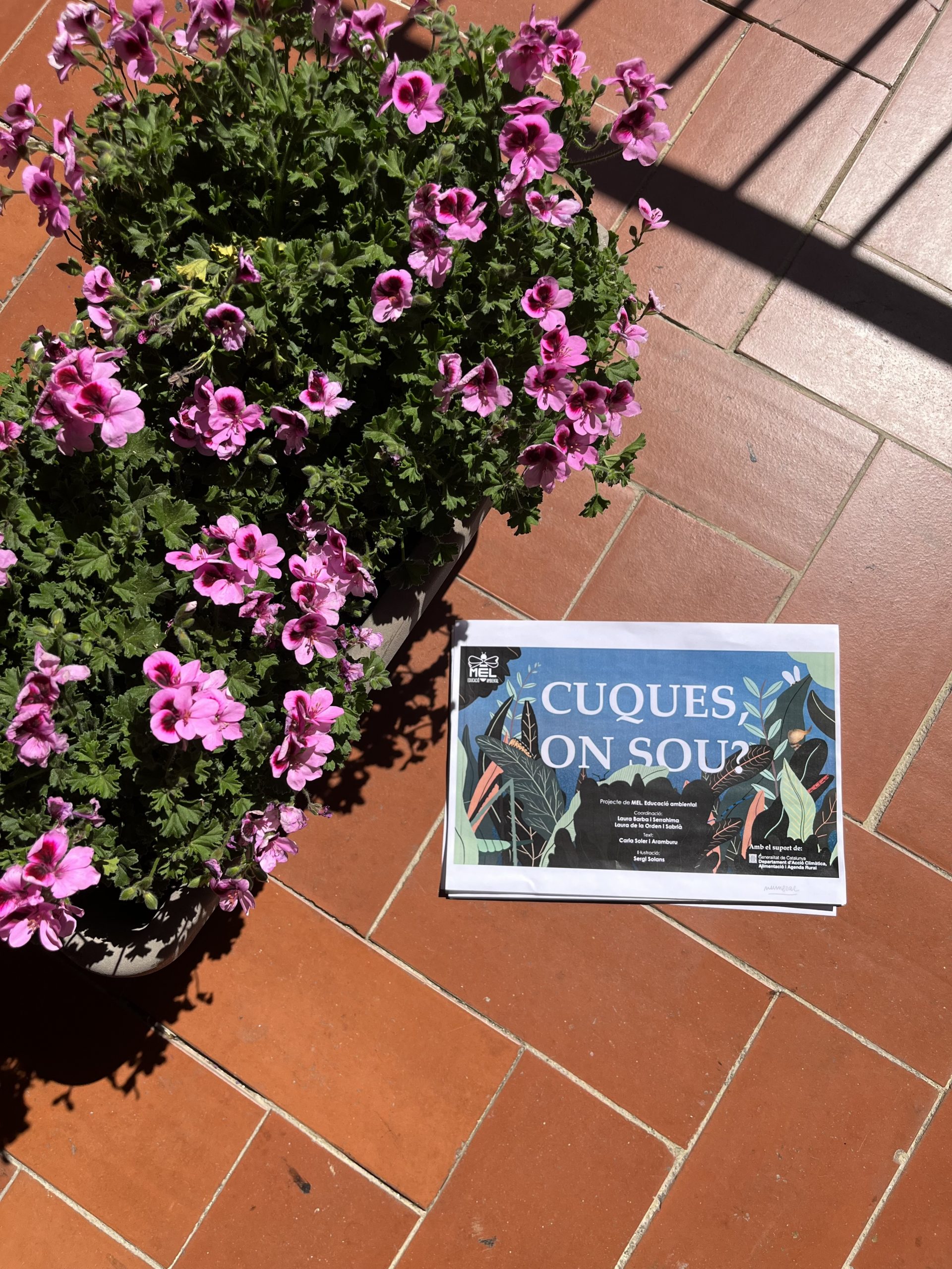 Conte teatralitzat on coneixerem insectes amenaçats a Catalunya.