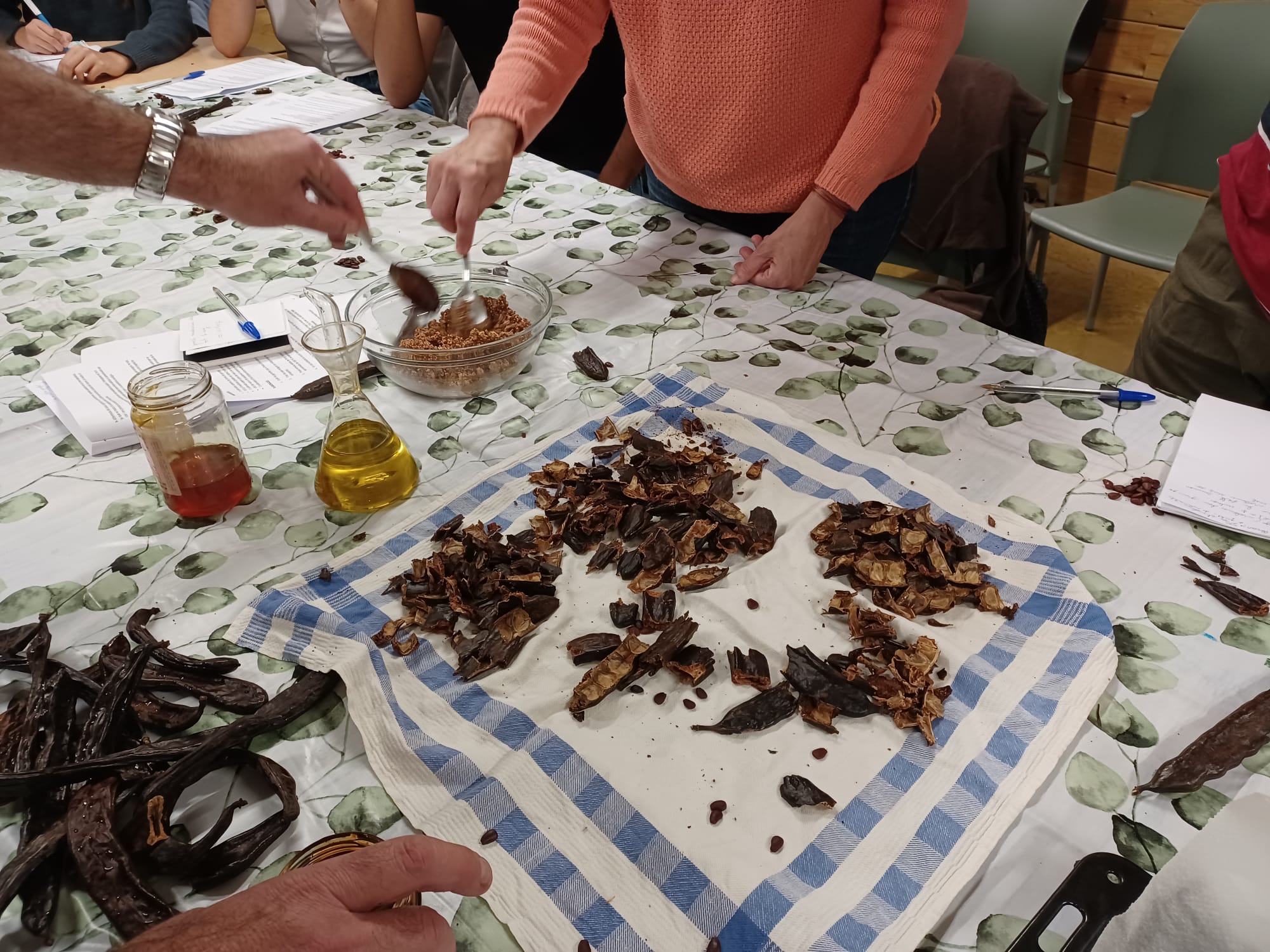 Taller culinari d'elaboració de xocolata a partir de les garrofes recollides al Bosc Turull.
