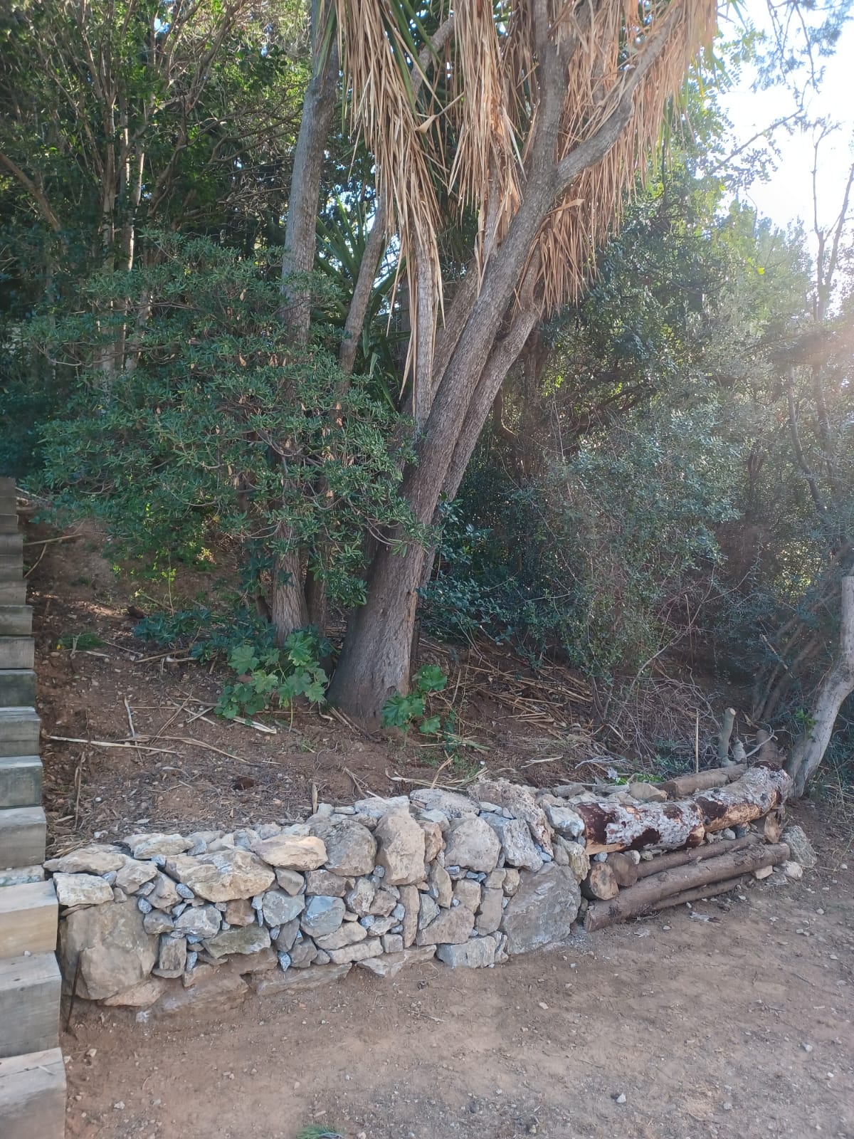 Mur alçat de pedra seca