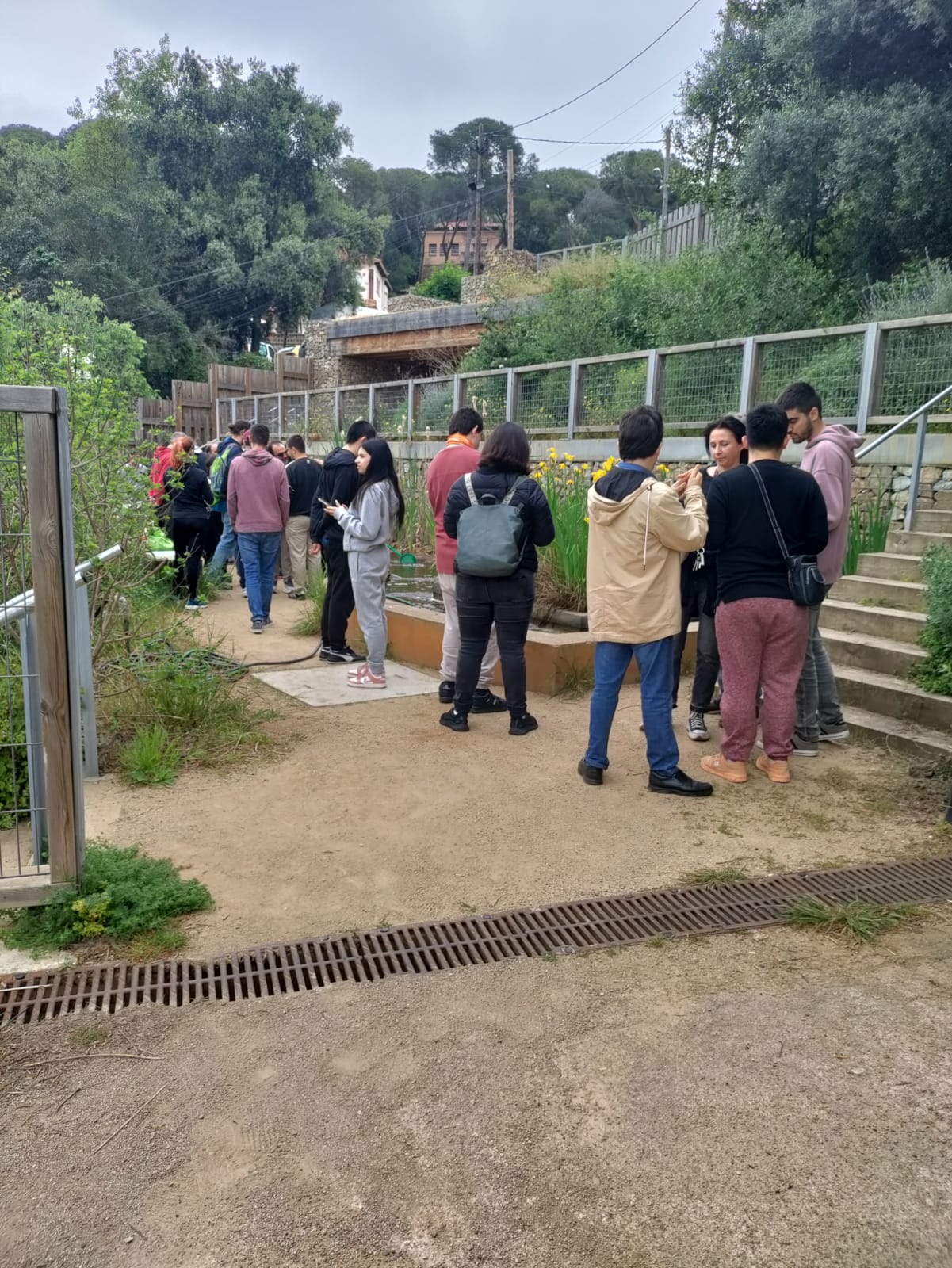 Ciència ciutadana per totes les capacitats