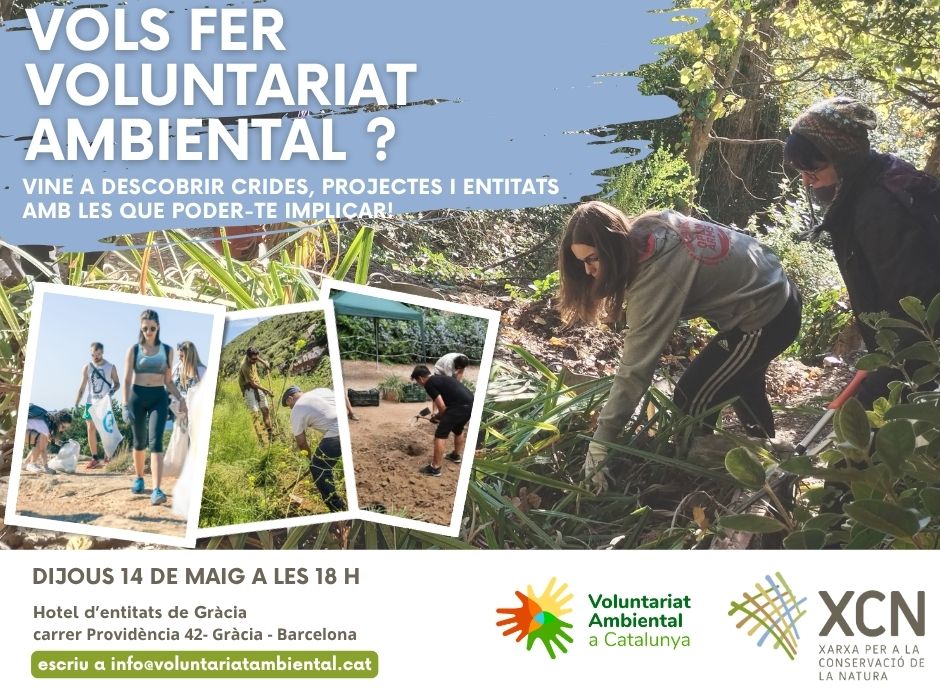 Cartell que anuncia la xerrada Vols fer Voluntariat Ambiental del 14 de maig de 2026 a les 18h a l'Hotel d'Entitats de Gràcia