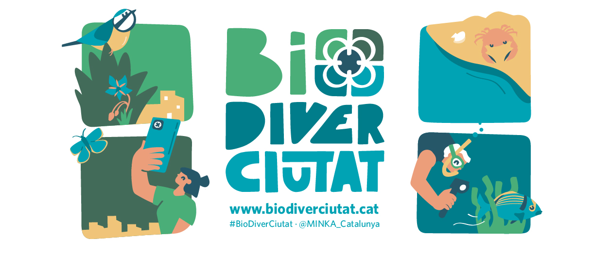 Cartell del BioDiverCiutat.
