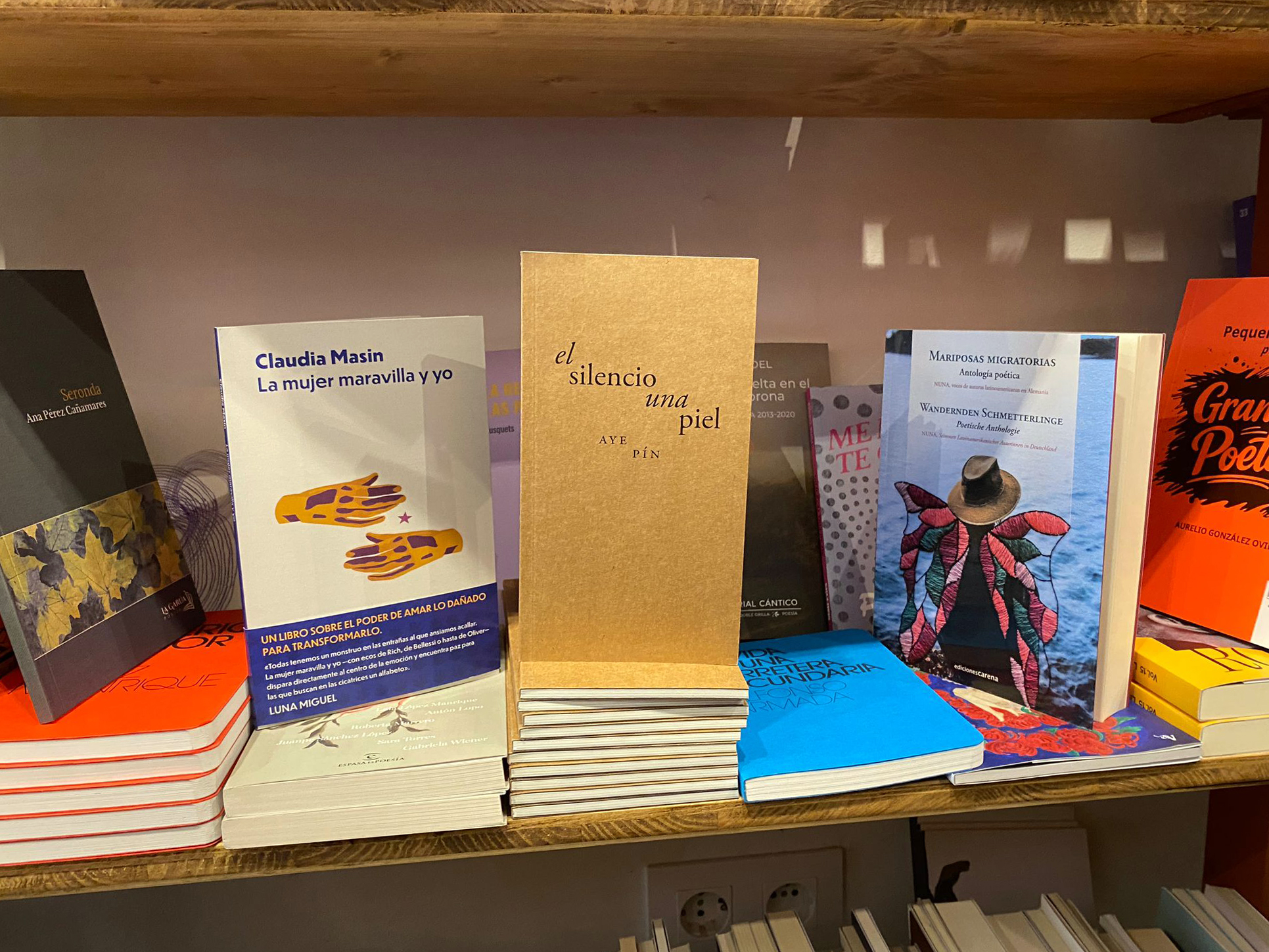 Poemario "El silencio una piel" de Aye Pín