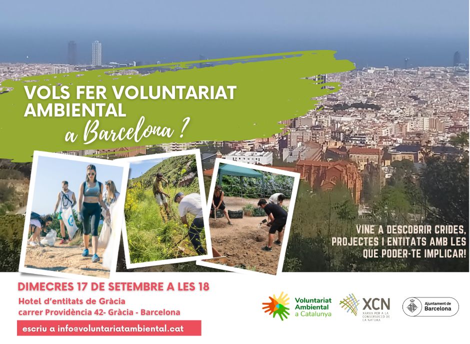 Exemples de persones voluntàries ambientals recollint residus a la platja, plantant a Collserola i en un hort urbà sobre un fons de la ciutat vista des de Collserola amb el mar de fons