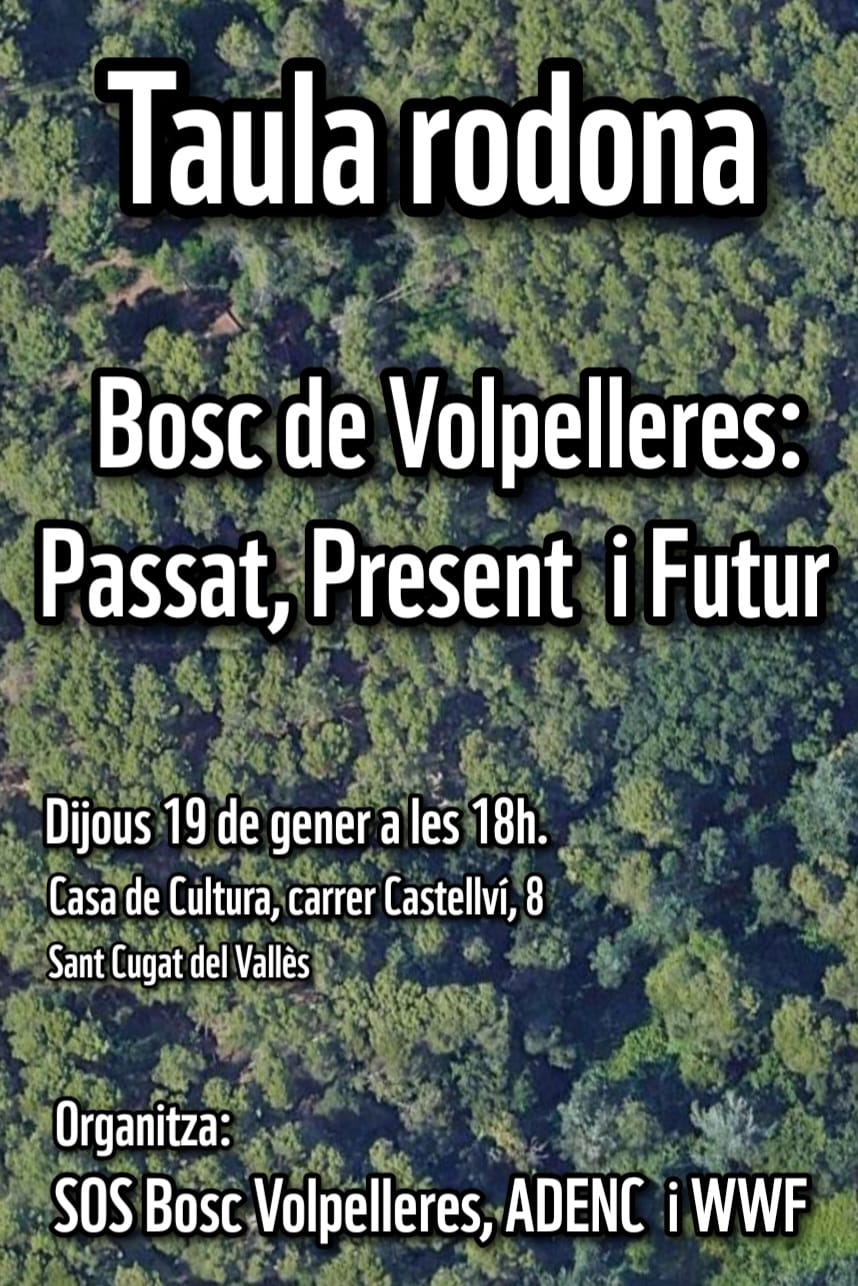 Taula rodona, El bosc de Volpelleres: Passat, Present i Futur