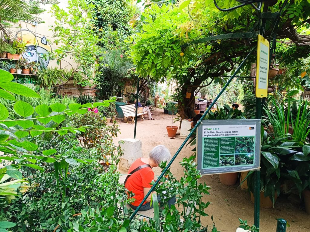 Imatge d'una activitat de Salut i Natura al Jardí del Silenci