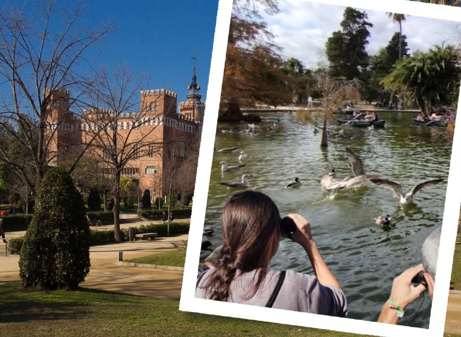 Dues persones observen les aus de l'estany del Parc de la Ciutadella, i també es veu el Castell dels Tres Dragons