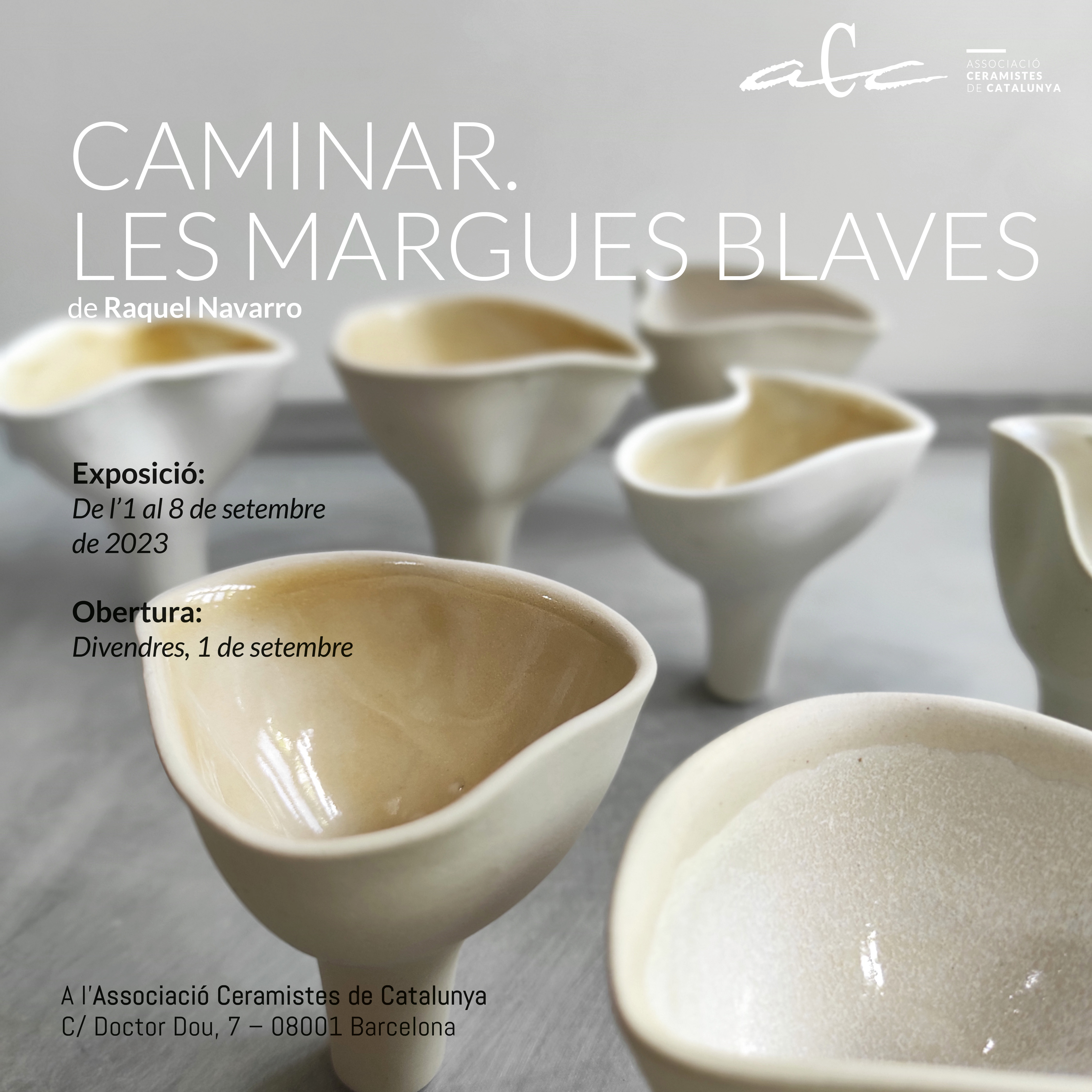 Cartell_Les_margues_blaves_ACC
