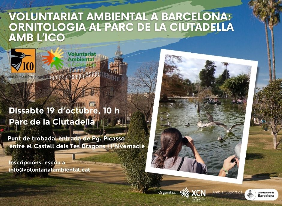 Cartell de la sortida ornitològica al Parc de la Ciutadella organitzada per la XCN amb ICO dissabte 19 d'octubre a les 10 del matí. rganitzadaDues persones observen les aus de l'estany del Parc de la Ciutadella, i també es veu el Castell dels Tres Dragons. Per inscriure's cal enviar un mail a info@voluntariatambiental.cat