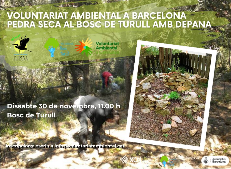 Cartell de la crida de voluntariat ambiental al Bosc de Turull amb Depana el dia 30 de novembre