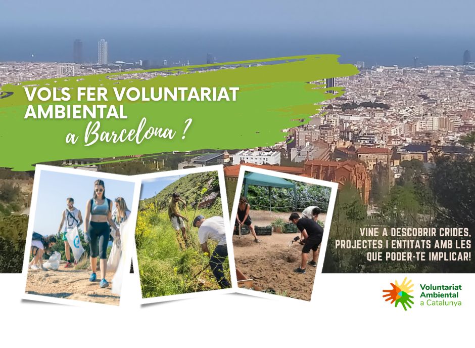 Cartell on es visualitza Barcelona vora el mar i tres experiències de voluntariat ambiental, a la platja, a Collserola o amb un hort comunitari