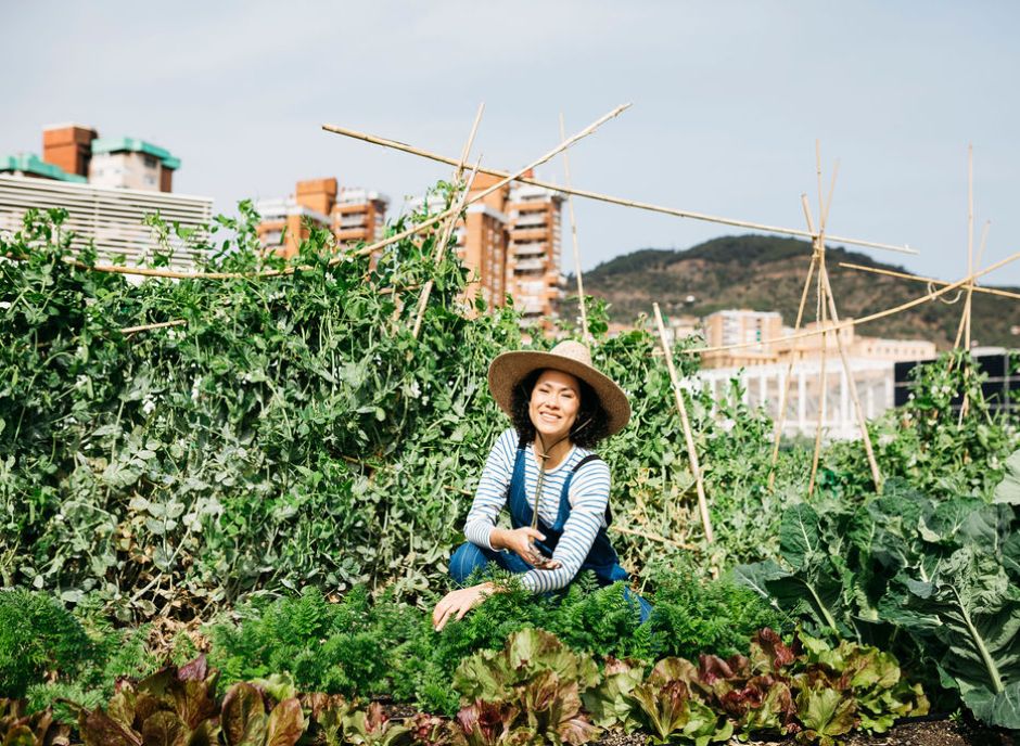 Voluntària de l'hort urbà al terrat del mercat de Vall d'Hebron