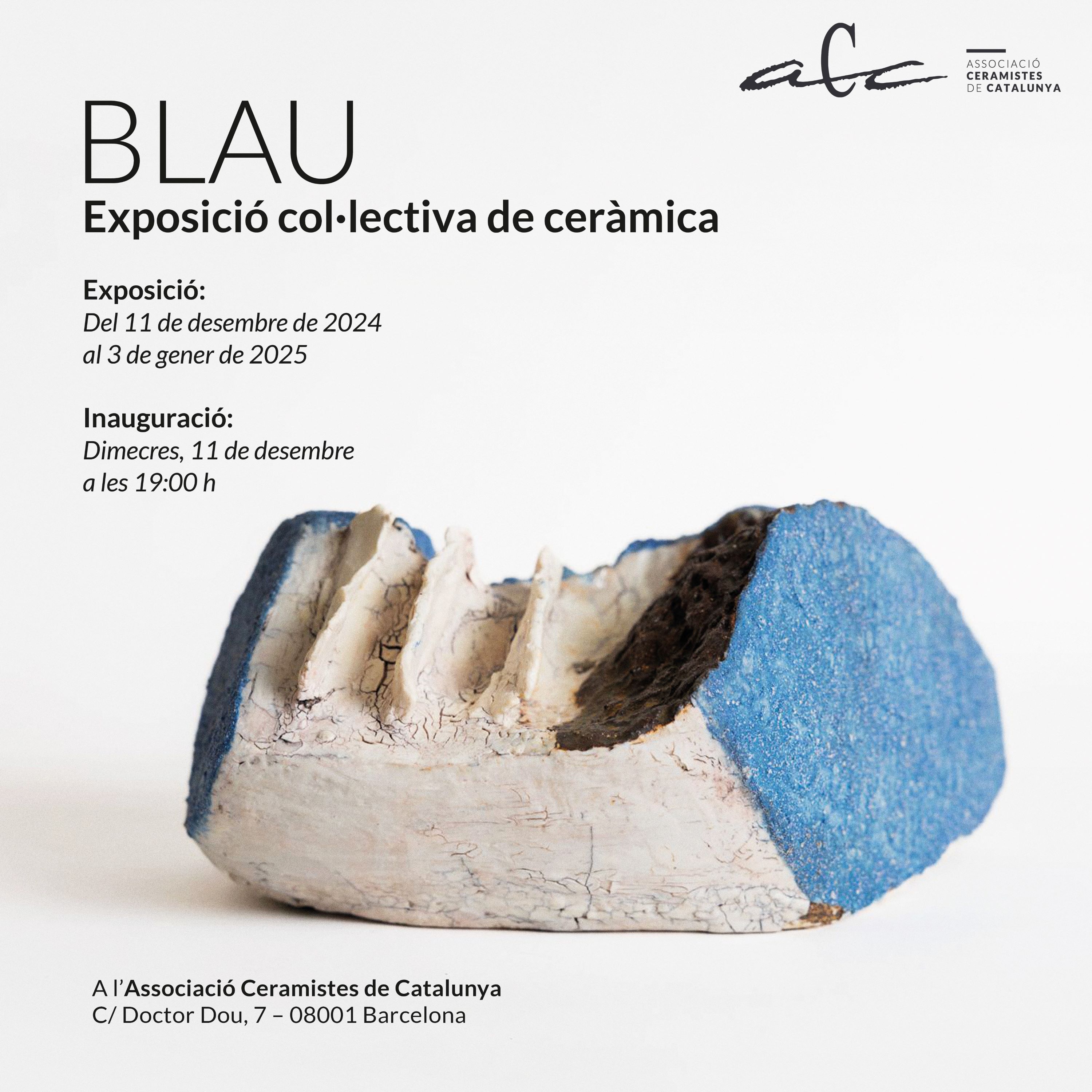 BLAU_exposició col·lectiva de socis de l'ACC