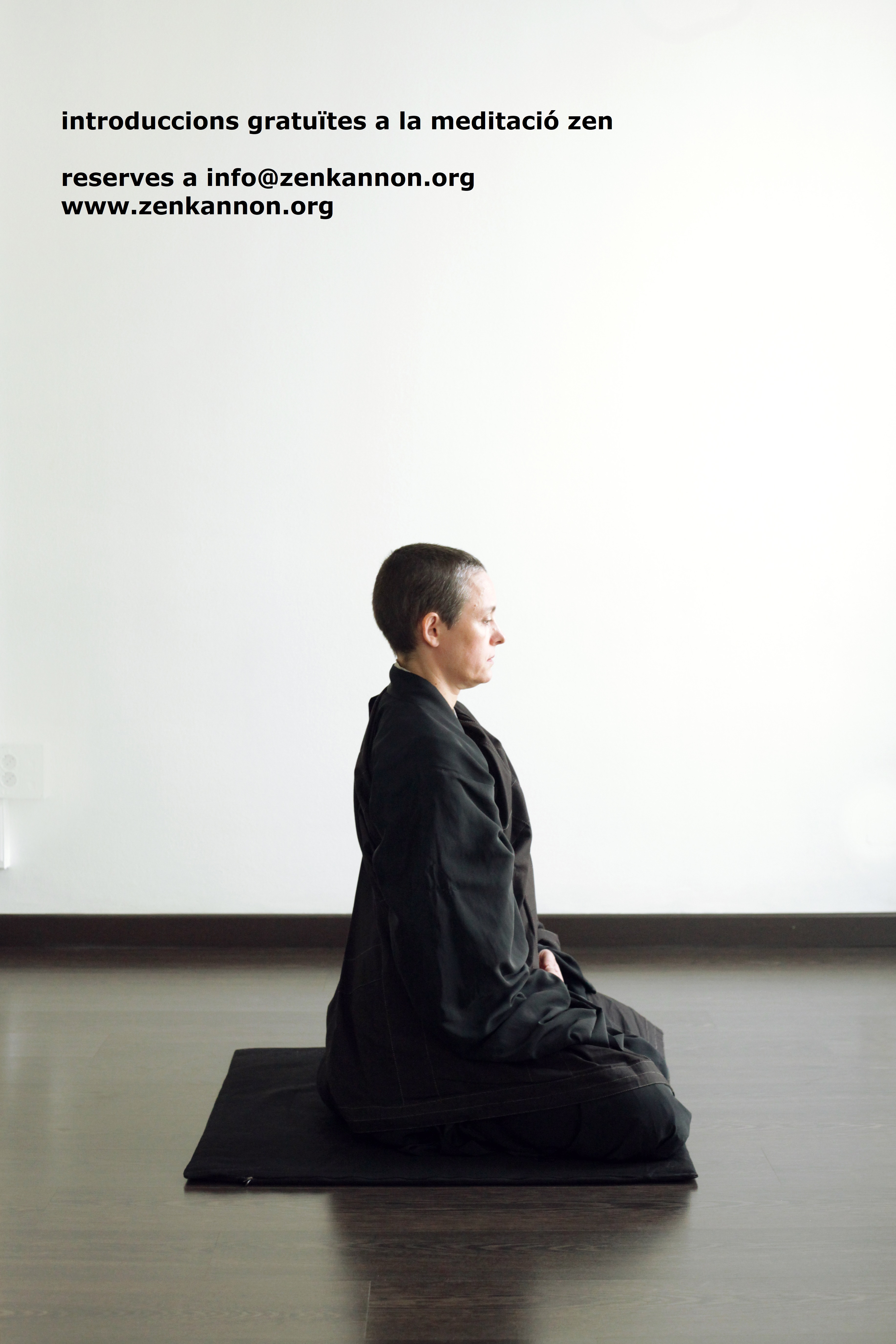 introducció gratuïta a la meditació zen