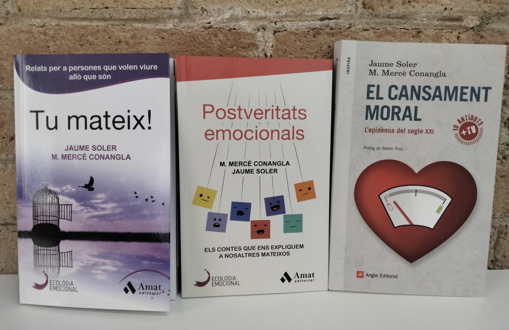 Llibres Tu mateix!, Postveritats emocionals i El cansament moral