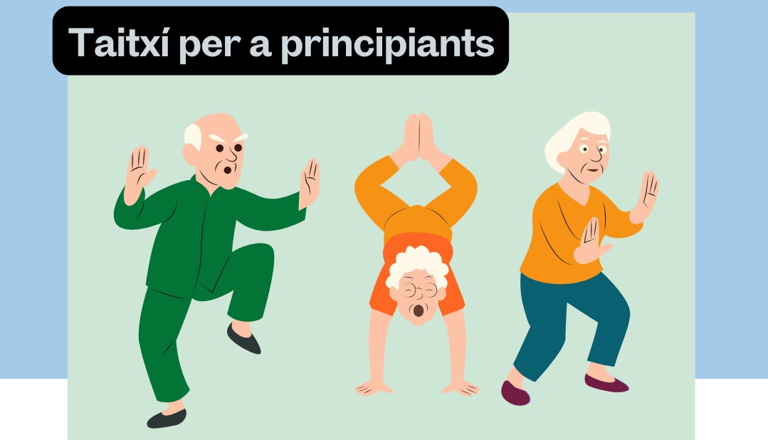TaiTxi per a principiants
