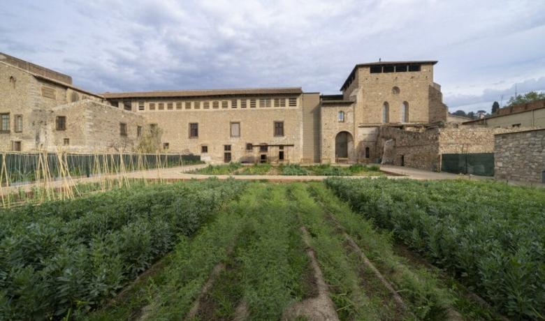 Imatge de l'hort medieval del Monestir de Pedralbes, amb part del monestir de fons.