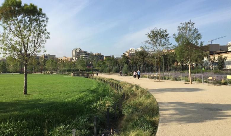 Imatge de la canòpia urbana de la Plaça de les Glòries Catalanes, Barcelona.