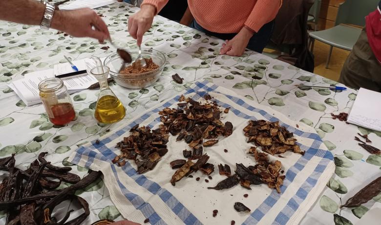 Taller culinari d'elaboració de xocolata a partir de les garrofes recollides al Bosc Turull.