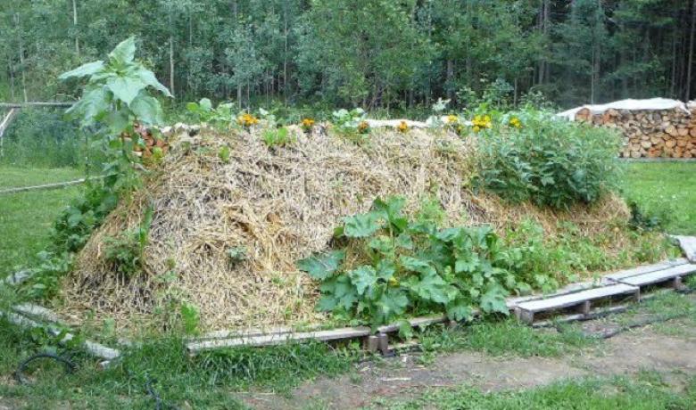 Tècnica agrícola que s'utilitza en zones amb baixa pluvimetria