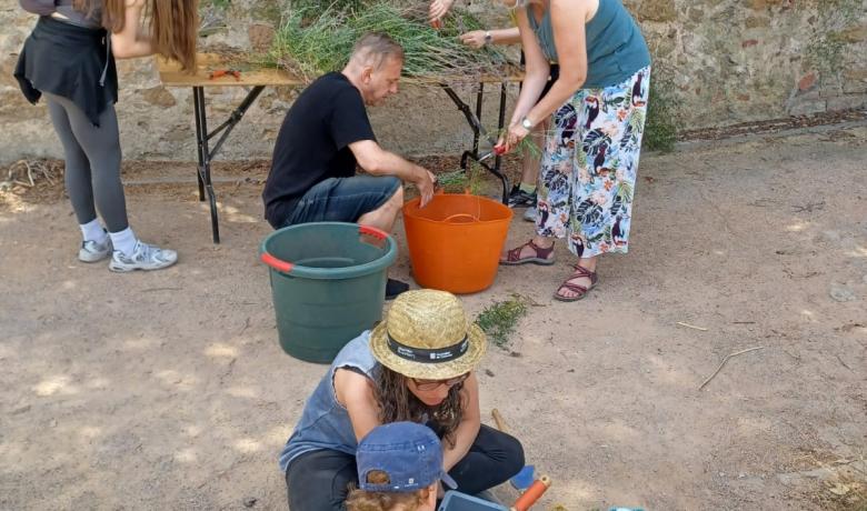Col·laborarem entre totesa per afavorir la conservació de la biodiveristat del Bosc Turull.