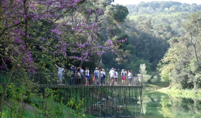 Caminant per Collserola