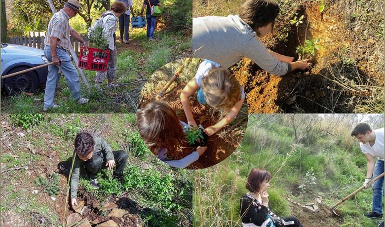 Vàries escenes de voluntàris i voluntàries ambientals fent tasques al Bosc de Turull