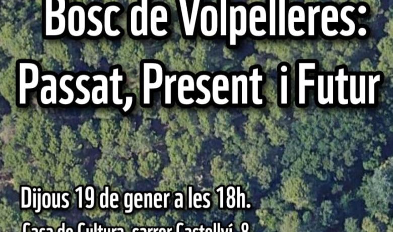 Taula rodona, El bosc de Volpelleres: Passat, Present i Futur