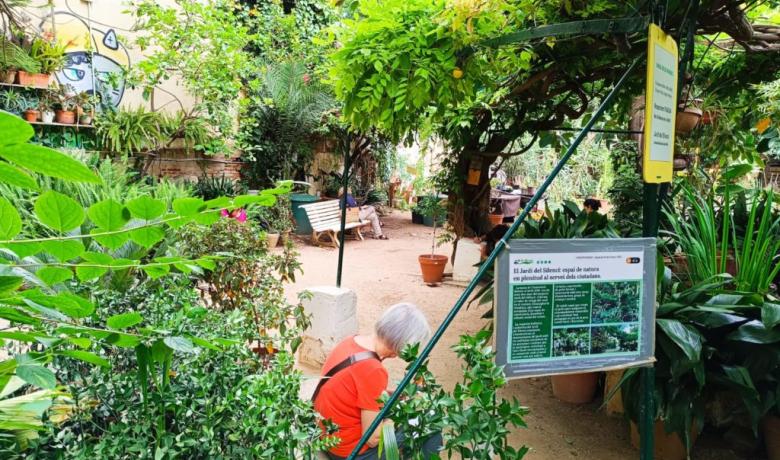 Imatge d'una activitat de Salut i Natura al Jardí del Silenci