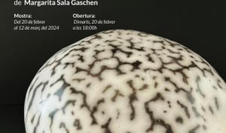 Margarita sala Gaschen a l'ACC