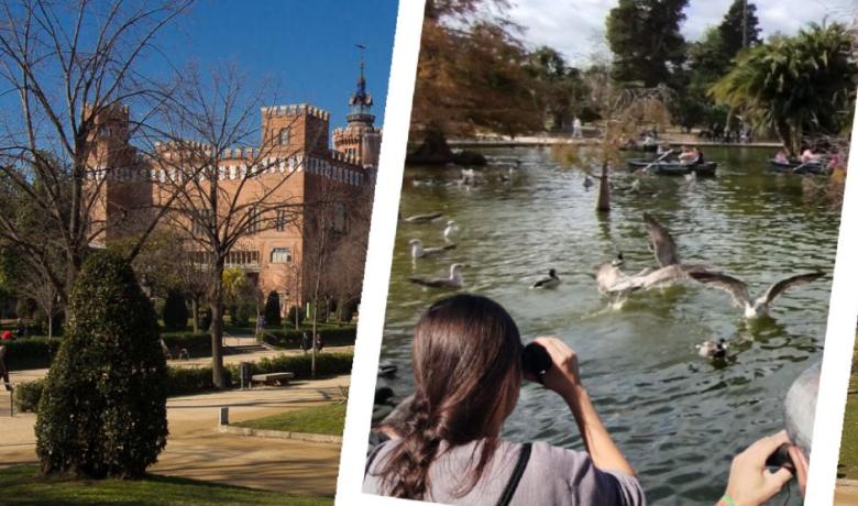 Dues persones observen les aus de l'estany del Parc de la Ciutadella, i també es veu el Castell dels Tres Dragons