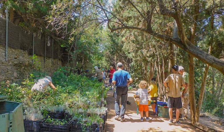 Treball del voluntariat al viver