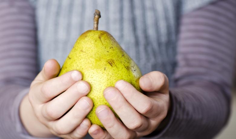 Apropament a la diversitat cultural "Interculturalitat, alimentació i sostenibilitat"