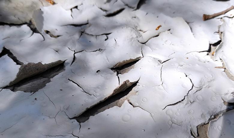 Les_margues_blaves_Raquel_Navarro