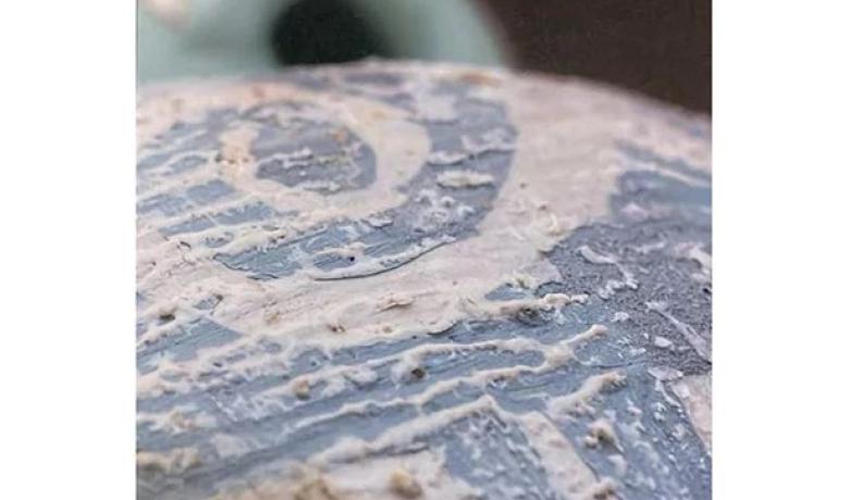 Presentació SINBIOTIKA