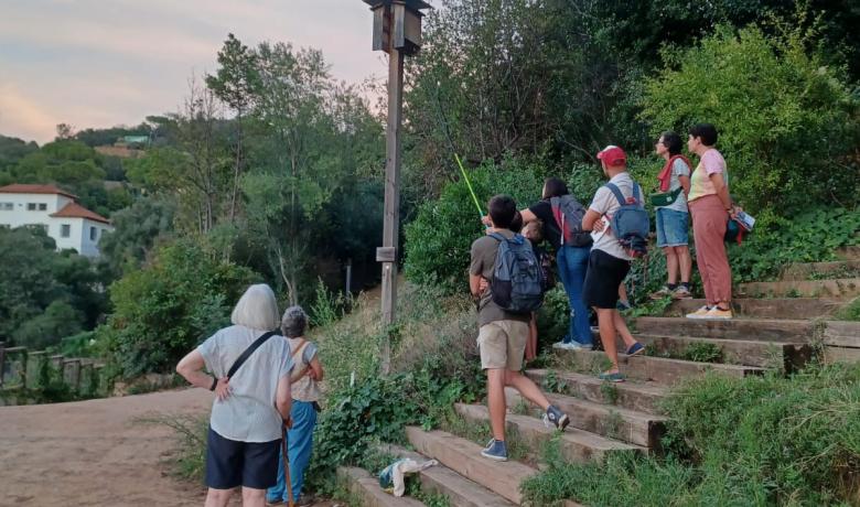 Revisió de l'hotel de ratpenats de l'Aula Ambiental Bosc Turull amb una càmera, tardor de 2025.