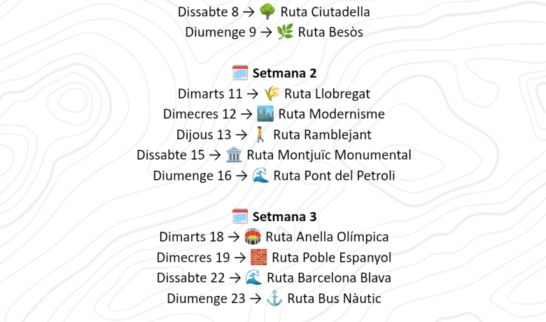 Wheeling Barcelona Rutes Accessibles a Barcelona agost del 2026