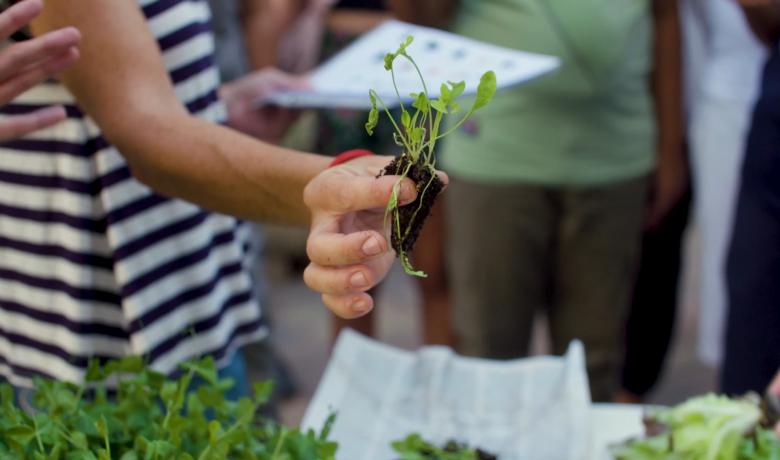 Hort del raval i hort del Carmel