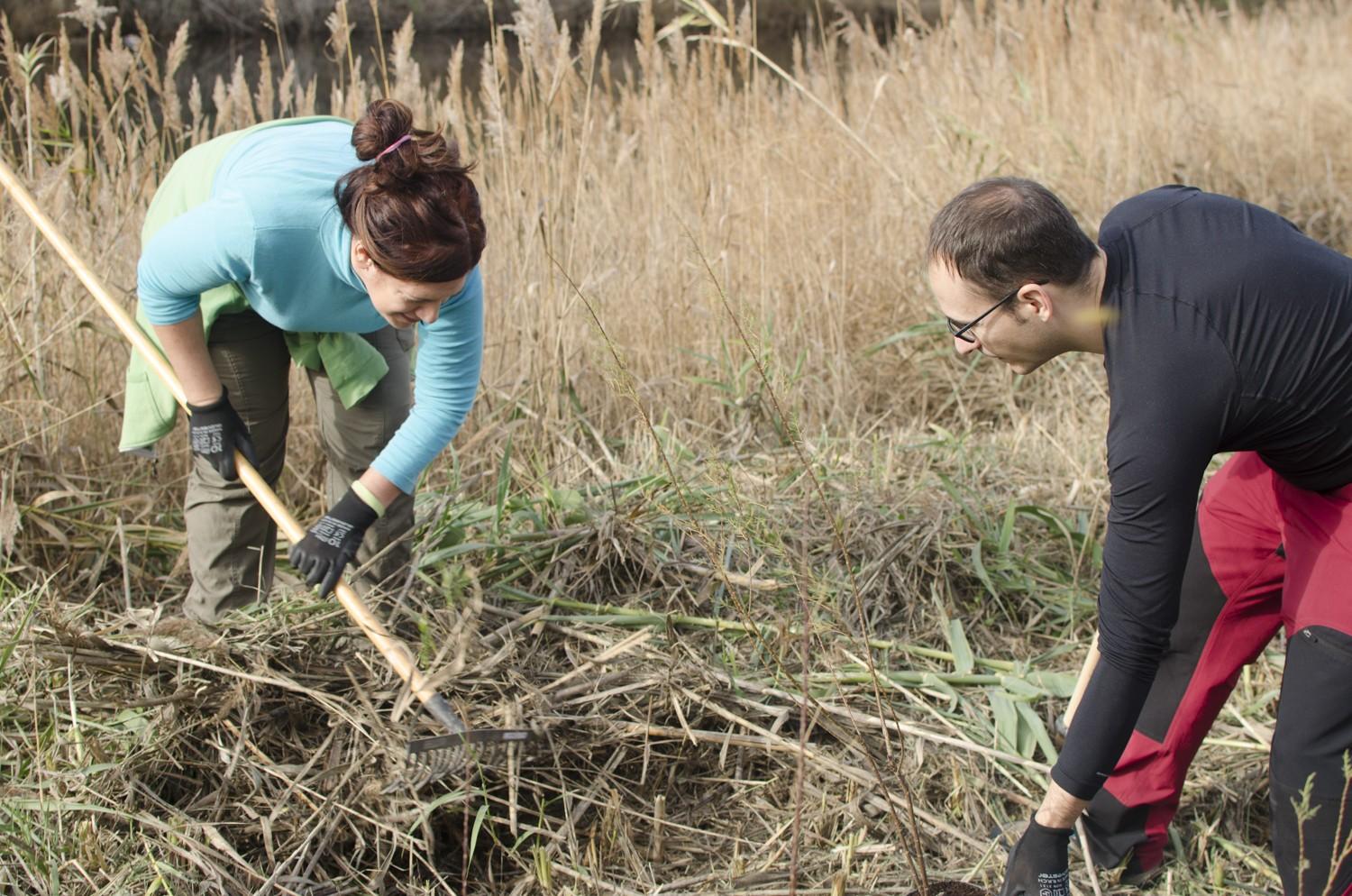 Voluntariat ambiental per la conservació de la natura