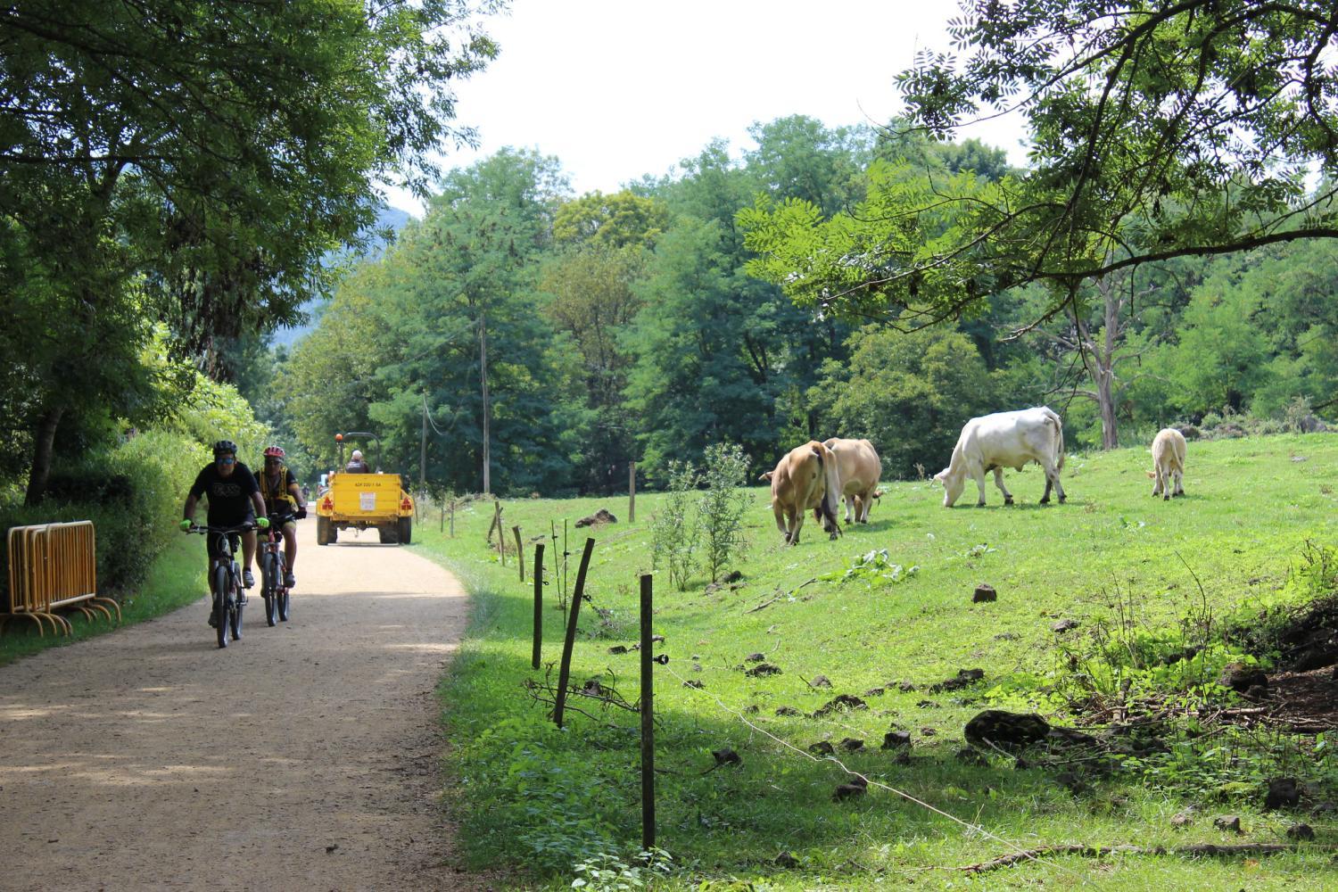 Imatge de dues persones en bicicleta al Parc Pedra Tosca. També es veuen algunes vaques pasturant. 