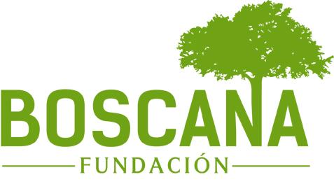 Profile picture for user fboscana