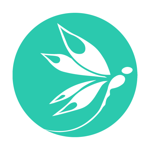 Profile picture for user libellulabcn