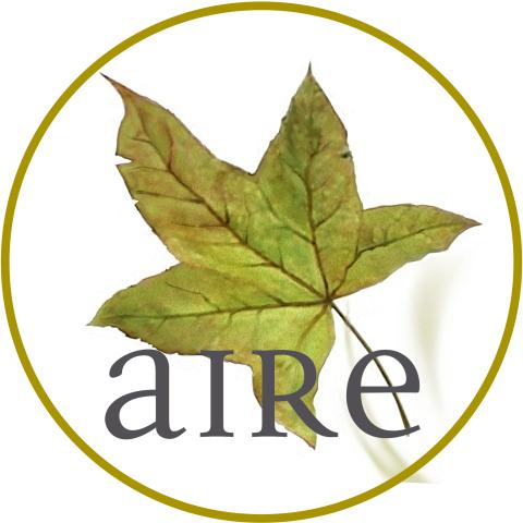 Profile picture for user AIRE