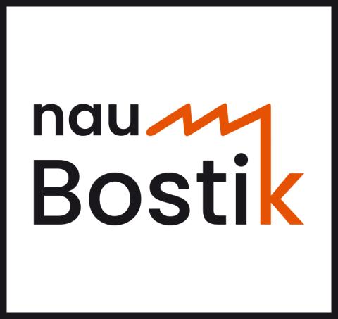 Profile picture for user Nau Bostik