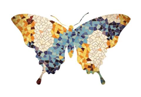 Profile picture for user butterfly