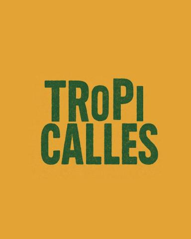 Profile picture for user tropicalles